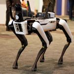 Robot Dog