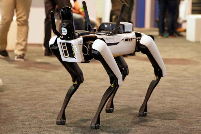 Robot Dog