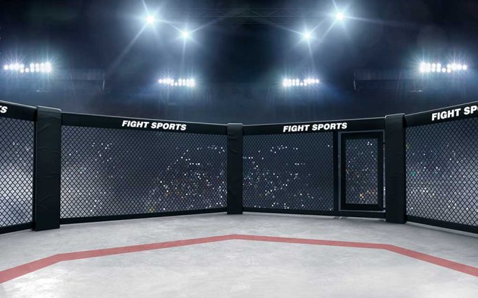 Fight Sports Boxing Ring