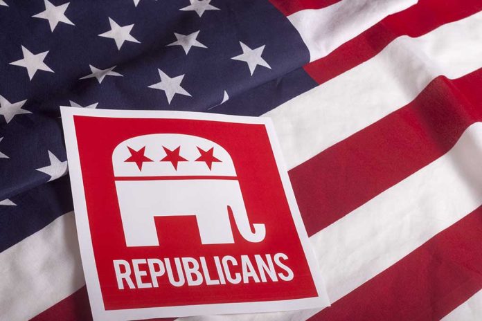 Republican Element and US Flag