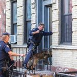 A police raid