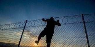 Illegal immigrant
