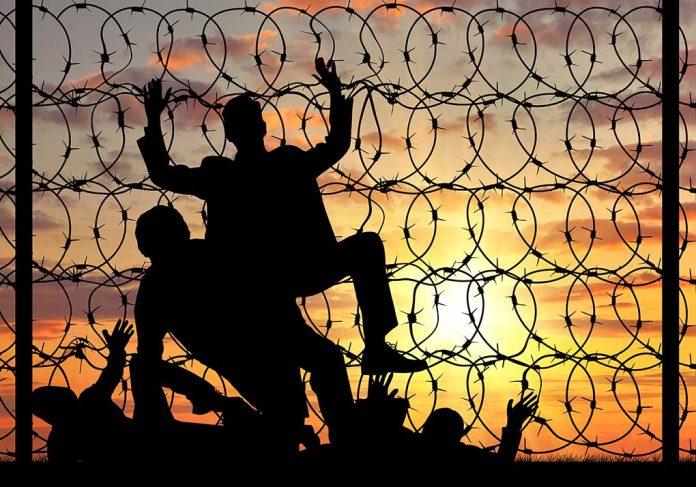 334479050 featured image Illegal immigrant