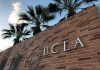 Brick wall with "UCLA" lettering and palm trees.