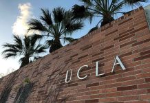 Brick wall with "UCLA" lettering and palm trees.