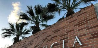 Brick wall with "UCLA" lettering and palm trees.