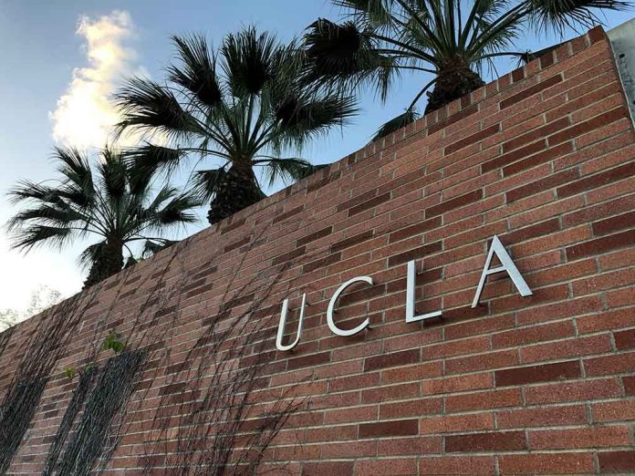 Brick wall with "UCLA" lettering and palm trees.