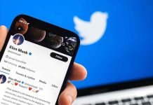 Hand holding phone displaying Twitter profile