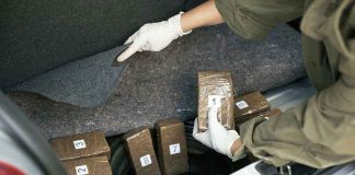 Person discovering wrapped packages in a car trunk