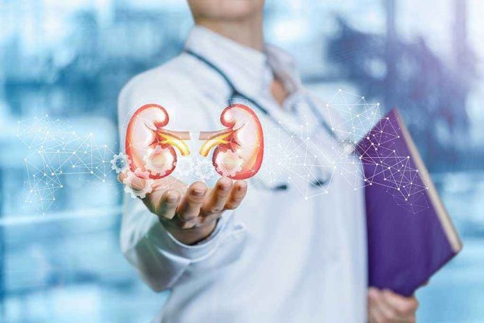Person holding digital kidney illustration in hand.