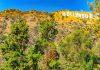 Hollywood sign on hillside with trees in foreground