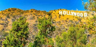 Hollywood sign on hillside with trees in foreground