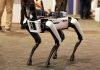 China Using Robots to Invade Beachfronts Robotic dog standing on indoor carpeted floor.