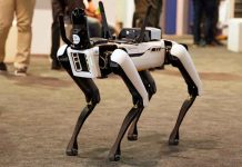 China Using Robots to Invade Beachfronts Robotic dog standing on indoor carpeted floor.