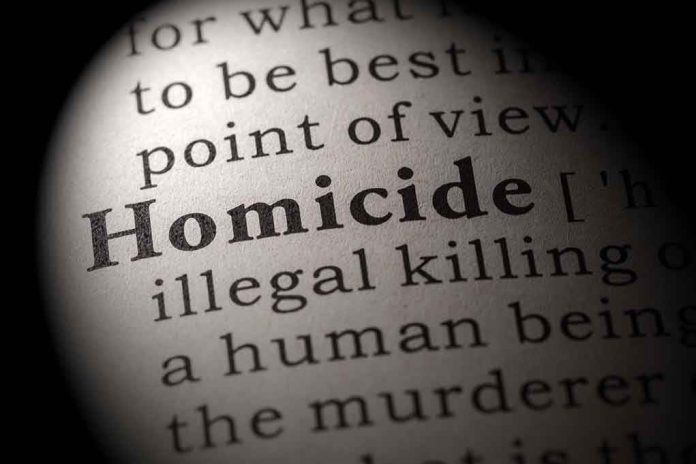 348298622 Magnified text showing definition of homicide.