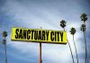 Sanctuary City sign with palm trees and sky.