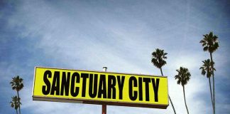 Sanctuary City sign with palm trees and sky.
