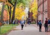 People walking on a college campus in autumn.