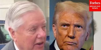 Lindsey Graham: Trump Saying Dems' Behavior Was