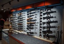 Wall-mounted guns displayed in a store.