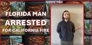 Palisades Fire arrest: suspected arsonist tells judge he has no