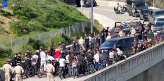 Bay Bridge Takeover Attempt Sparks Mass Detentions