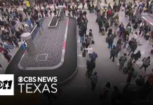 Congressional Elites FORCED Into TSA Hell Congressional Elites FORCED Into TSA Hell