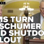 Democrats Plot Schumer Ouster