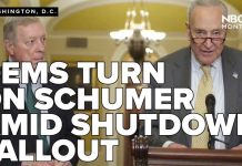 Democrats Plot Schumer Ouster