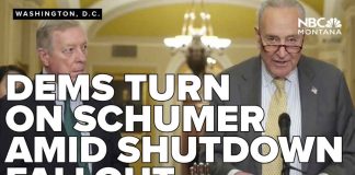 Democrats Plot Schumer Ouster