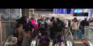 ICE at Airports: TSA’s NIGHTMARE or Solution