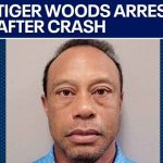 Tiger Woods Rollover Crash Sparks DUI Storm