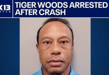 Tiger Woods Rollover Crash Sparks DUI Storm