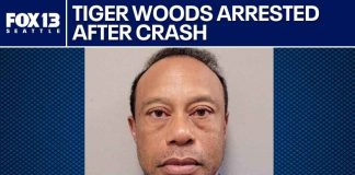 Tiger Woods Rollover Crash Sparks DUI Storm