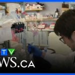 Genetic Discovery UNLOCKS Crohn's Disease Solution