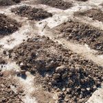 Mounds of dirt arranged in rows on a construction site