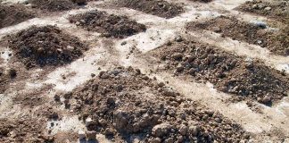 Mounds of dirt arranged in rows on a construction site