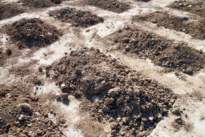 Mounds of dirt arranged in rows on a construction site