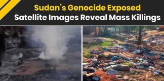 World News: Satellite Images Show RSF’s Brutal Massacre | 2000 Dead In El Fasher | Sudan News