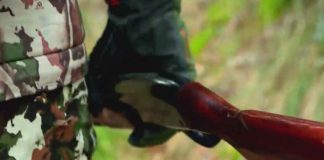 Petition to ban hunting in Oregon gains traction for November ballot