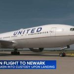 Passenger taken into custody after attack on flight to Newark Airport