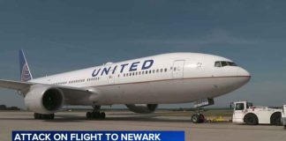 Passenger taken into custody after attack on flight to Newark Airport