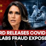 COVID Origins Bombshell: Tulsi Gabbard Claims Biden Aide Fauci 'Funded' Wuhan Lab Research In China