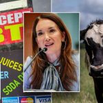 SNAP CRACKDOWN: Trump administration targets alleged food stamp fraud