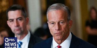 Trump wants 'control of everything,' GOP strategist says as Congress faces pressure