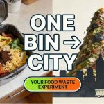 Your Kitchen Could Be Quietly Costing You $3K A Year Your Food Waste Is a Bigger Problem Than You Think!