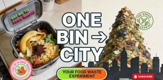 Your Food Waste Is a Bigger Problem Than You Think!