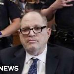 The Weinstein Case Refuses To End Weinstein Win? Not So Fast