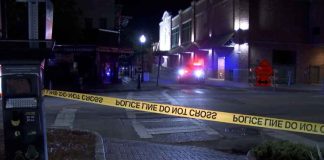 Pensacola Police Chief says witnesses, business owners helping after seven people shot in downtown