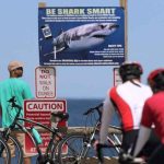 Teen shark attack in Alabama inspires start of a national alert system